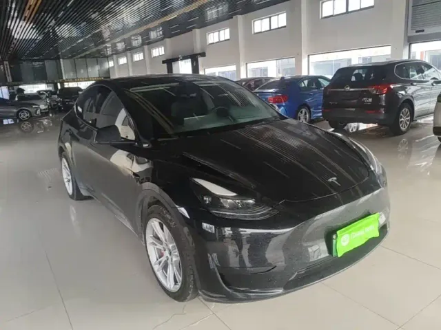 Tesla Model Y — Фото автомобиля 3