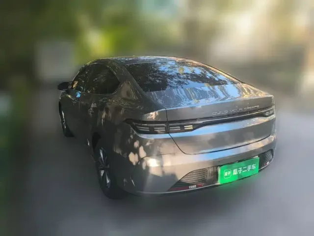 BYD Destroyer 05 2024 Glory Edition DM-i 55KM Luxury — Фото автомобиля 6