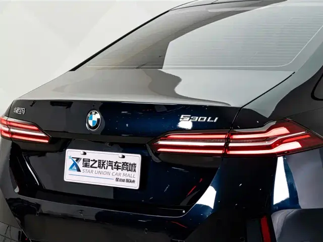 BMW 5 Series — Фото автомобиля 8