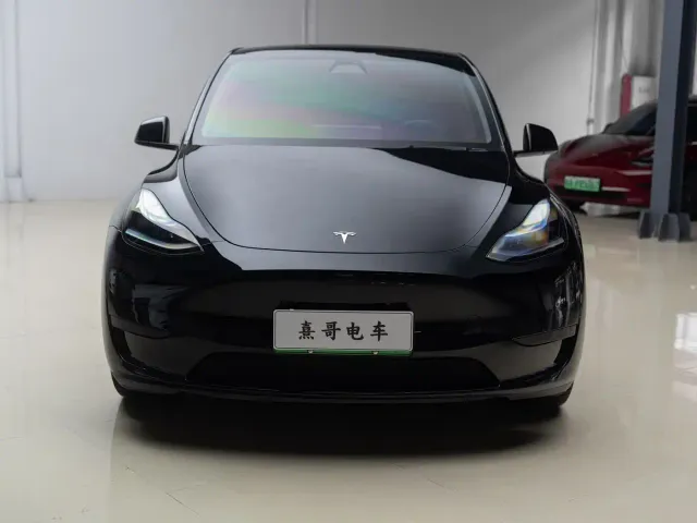 Tesla Model Y — Фото автомобиля 2