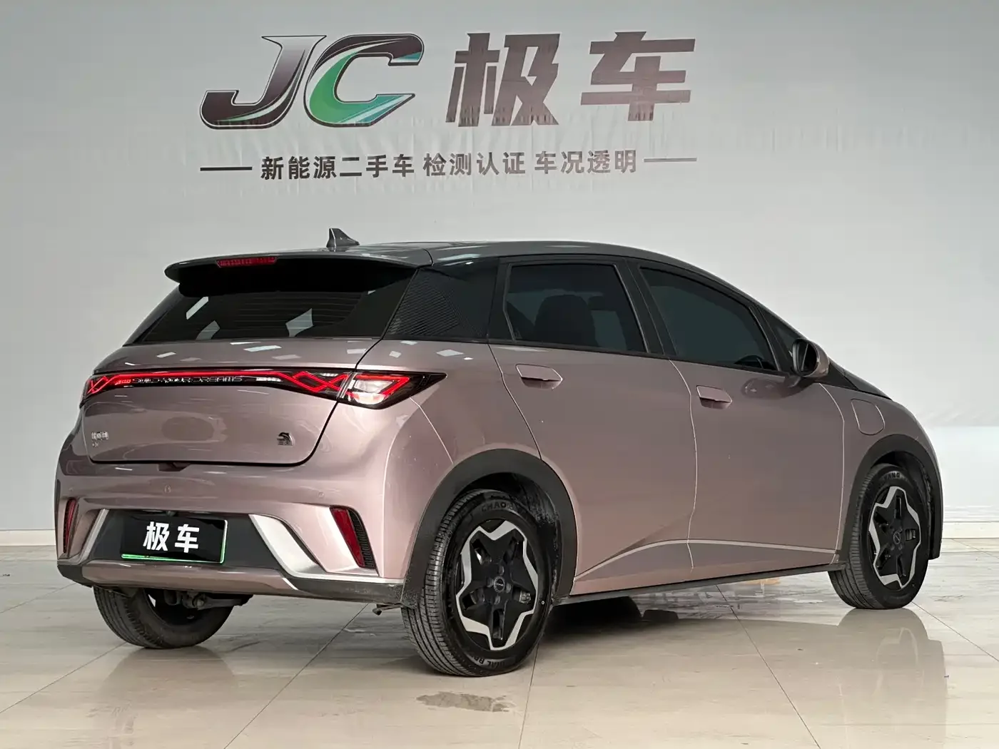 BYD Dolphin 2021 Model 405km Fashion Edition — Фото автомобиля 6