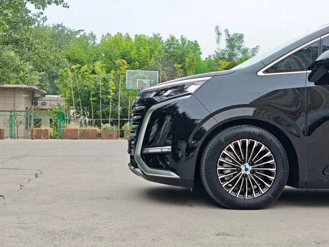 Denza D9 — Фото автомобиля 14