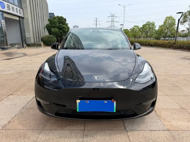 Tesla Model Y — Фото автомобиля 2