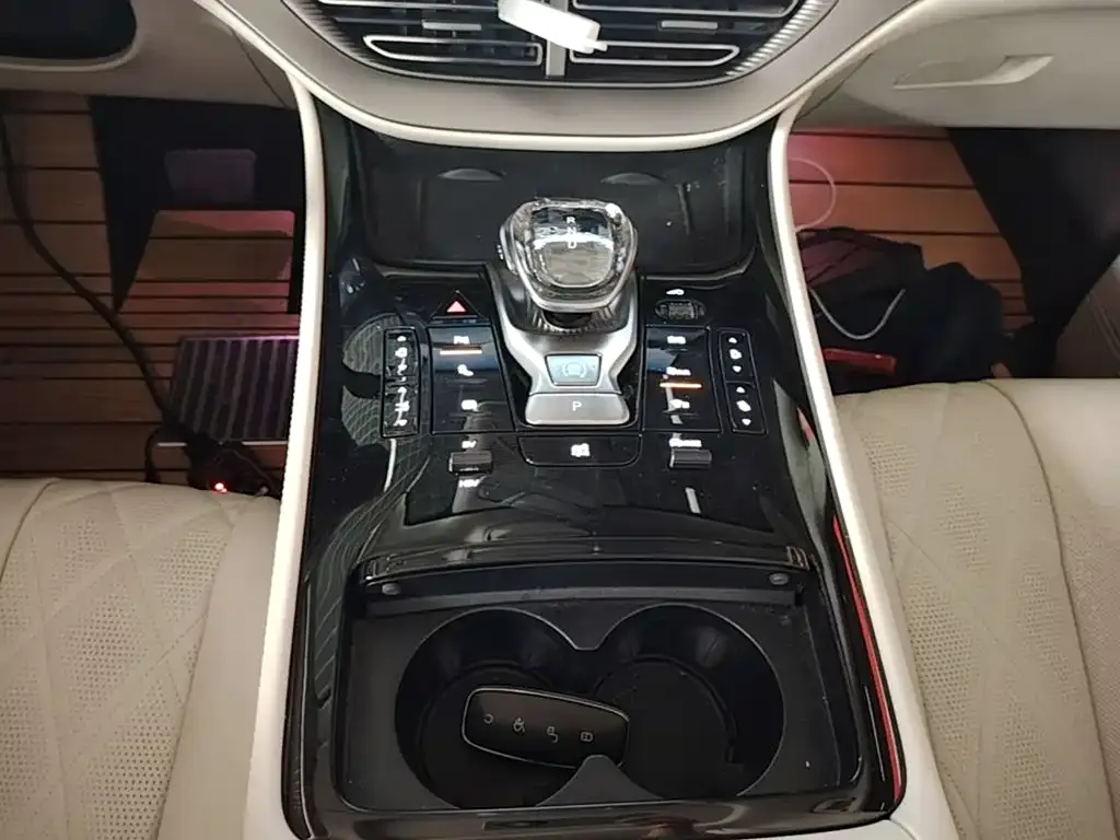 Denza Denza D9 2024 DM-i 980 AWD Prestige — Фото автомобиля 13