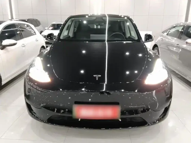 Tesla Model Y — Фото автомобиля 2