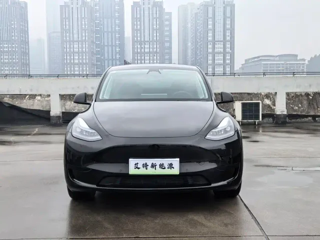 Tesla Model Y — Фото автомобиля 2