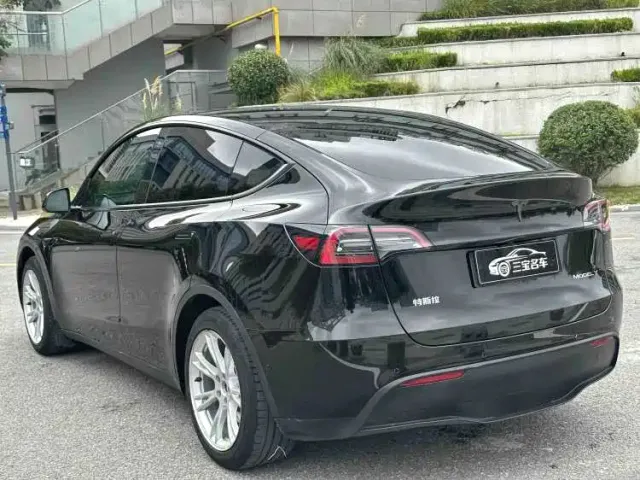 Tesla Model Y — Фото автомобиля 6