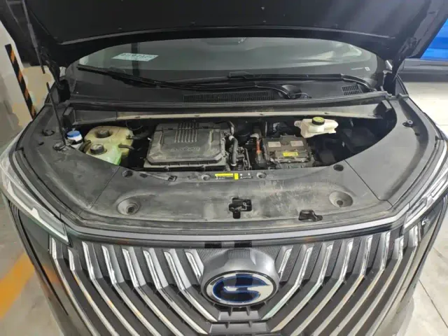 GAC Trumpchi M8 — Фото автомобиля 19