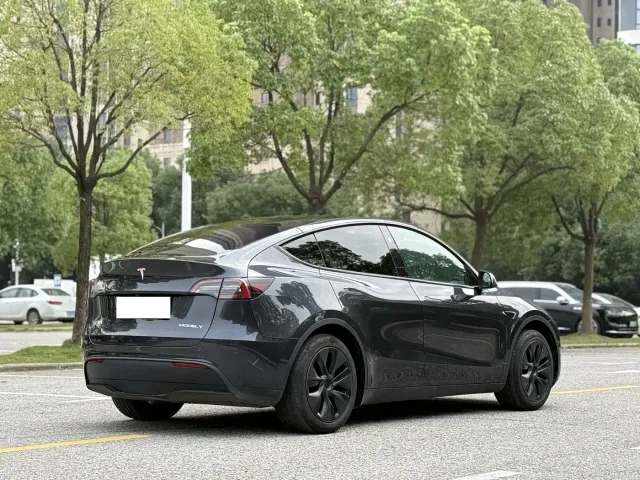 Tesla Model Y — Фото автомобиля 4