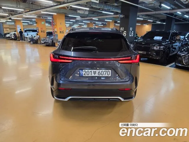 Lexus NX — Фото автомобиля 4