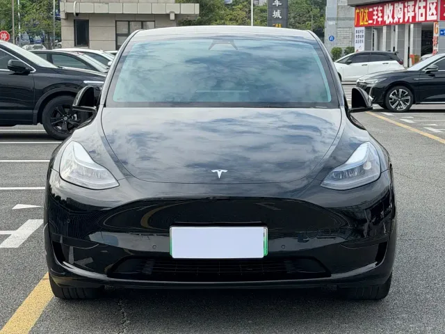 Tesla Model Y — Фото автомобиля 3