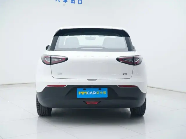 Geely Starry Wish — Фото автомобиля 17