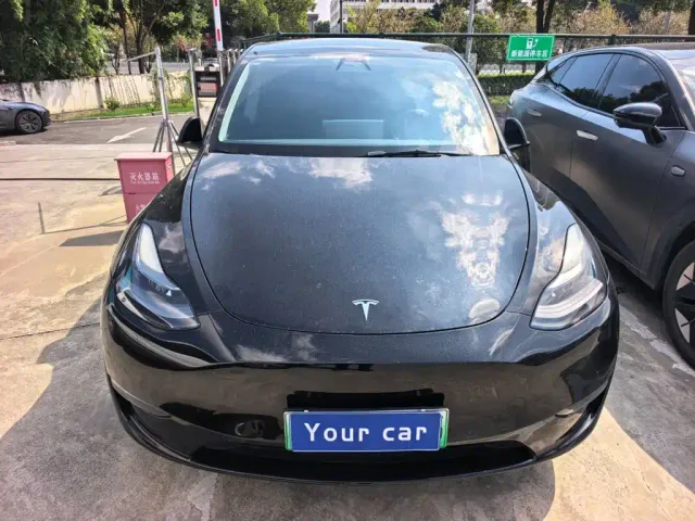 Tesla Model Y — Фото автомобиля 2
