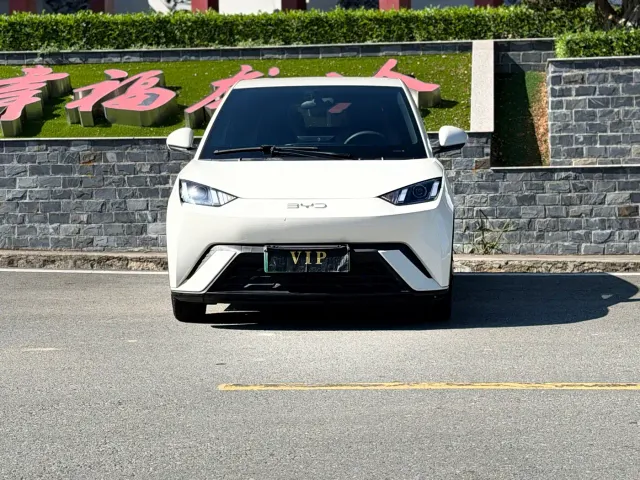 BYD Seagull — Фото автомобиля 2