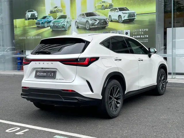 Lexus NX — Фото автомобиля 15