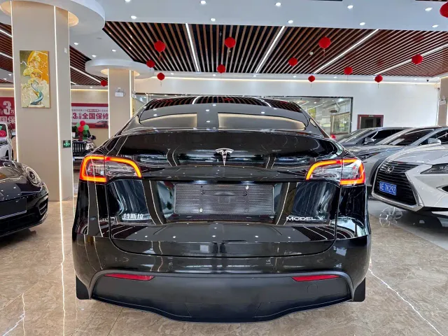 Tesla Model Y — Фото автомобиля 5