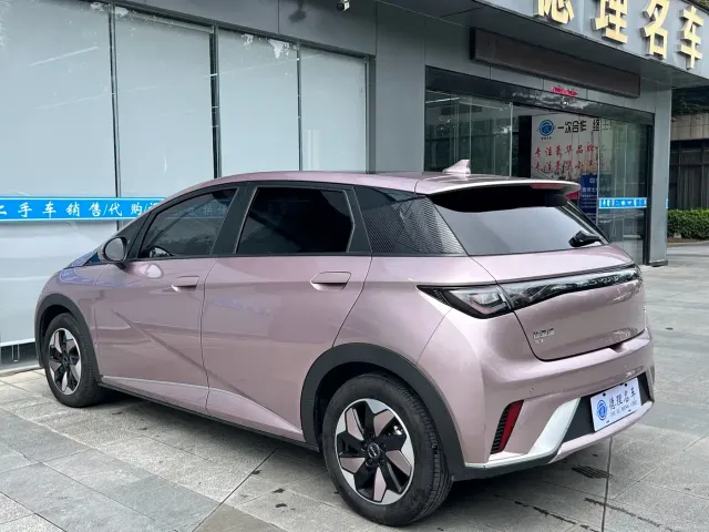 BYD Dolphin — Фото автомобиля 15