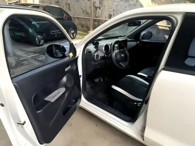 Ora Ora Black Cat 2021 301km Pet Edition — Фото автомобиля 18