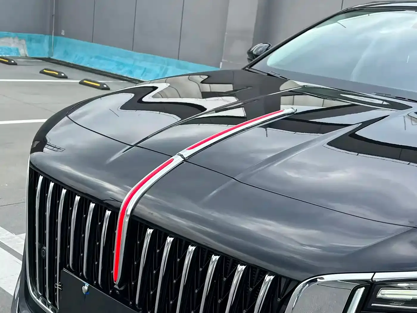 Hongqi Hongqi H5 2023 2.0T Auto Smart Connect Flag Comfort — Фото автомобиля 9