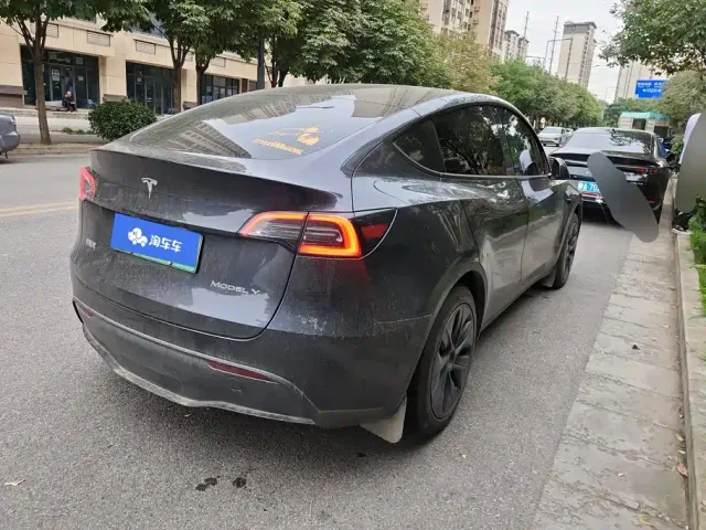 Tesla Model Y — Фото автомобиля 3