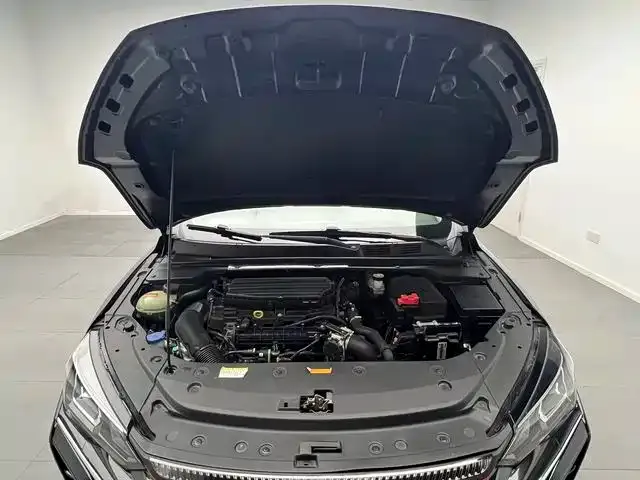 Dongfeng Yixuan MAX — Фото автомобиля 17