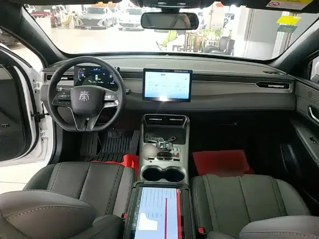 BYD Qin PLUS — Фото автомобиля 9