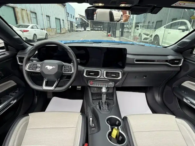 Ford Mustang — Фото автомобиля 9