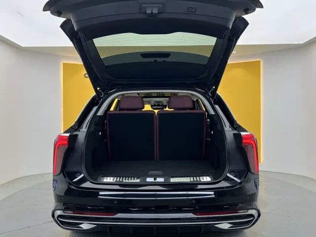 Hongqi E-HS9 — Фото автомобиля 11