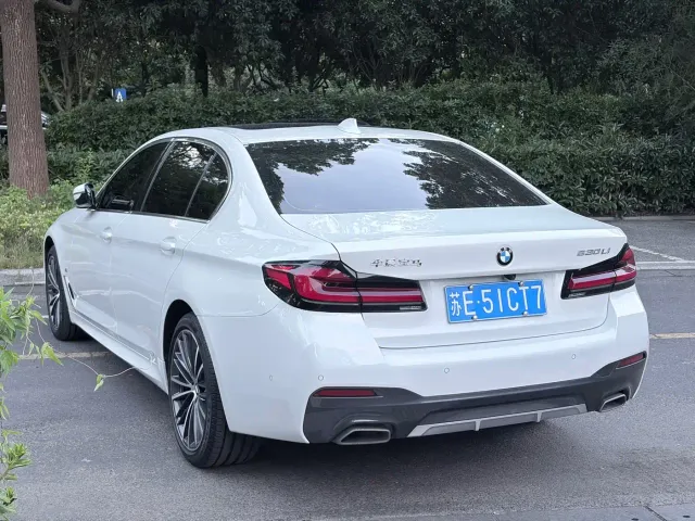 BMW 5 Series — Фото автомобиля 16