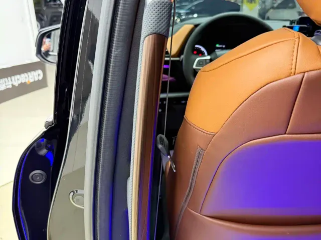 Toyota Sienna — Фото автомобиля 13