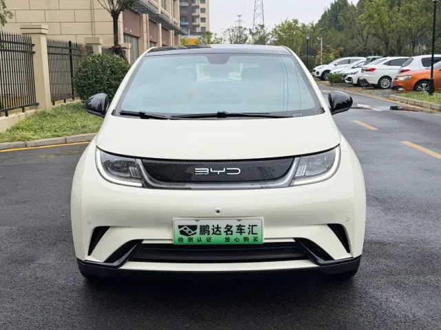 BYD Dolphin — Фото автомобиля 2