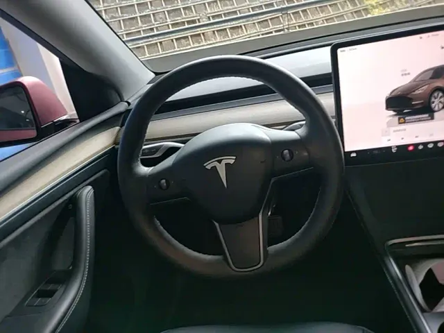 Tesla Model Y — Фото автомобиля 14