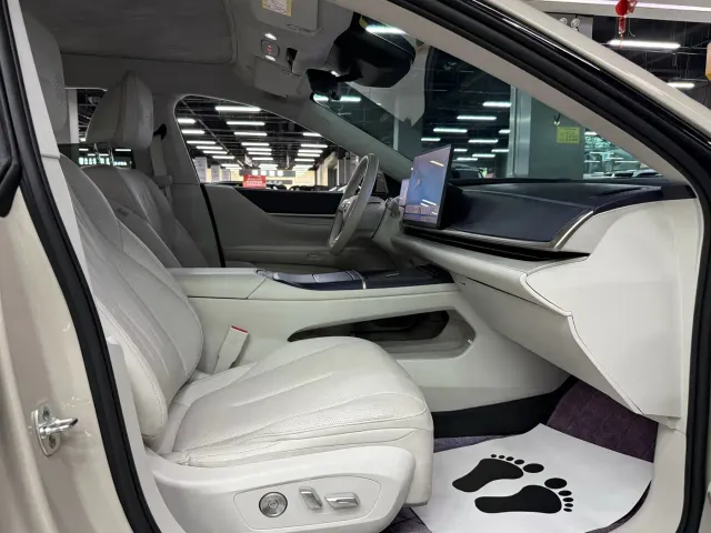 Buick Electra L7 — Фото автомобиля 16