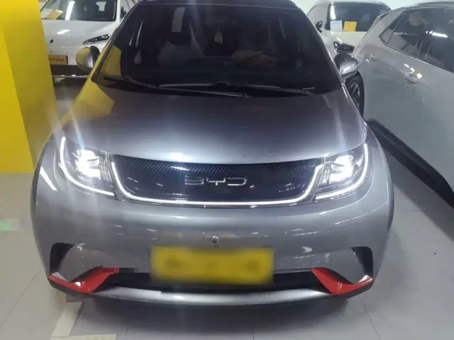 BYD Dolphin — Фото автомобиля 2
