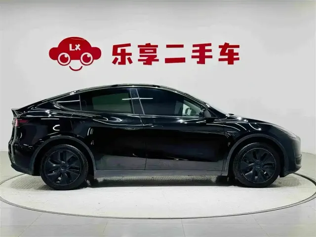 Tesla Model Y — Фото автомобиля 6