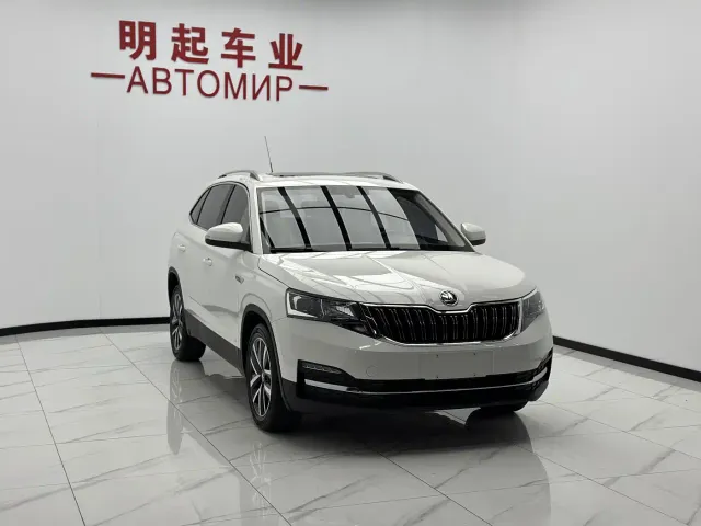 Skoda Kamiq — Фото автомобиля 3