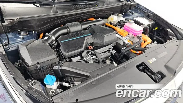 Kia Sportage — Фото автомобиля 6
