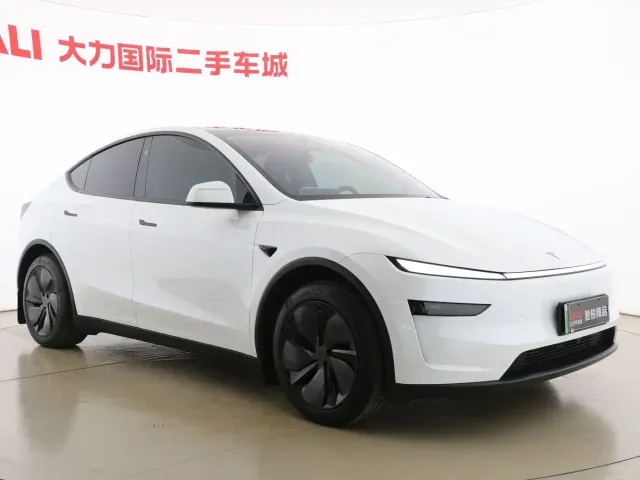Tesla Model Y — Фото автомобиля 3