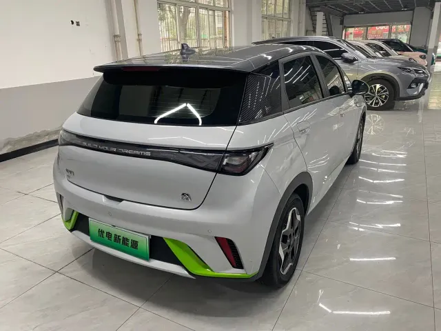 BYD Dolphin — Фото автомобиля 6