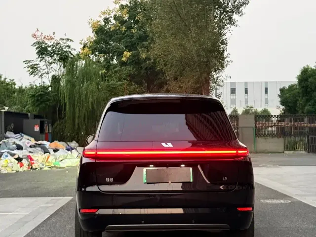 Li Auto L9 — Фото автомобиля 14