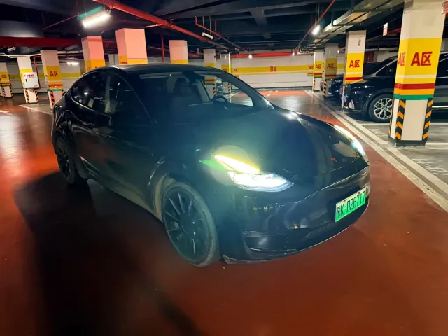 Tesla Model Y — Фото автомобиля 3