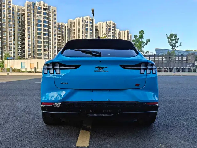 Ford Mustang Mach-E — Фото автомобиля 8