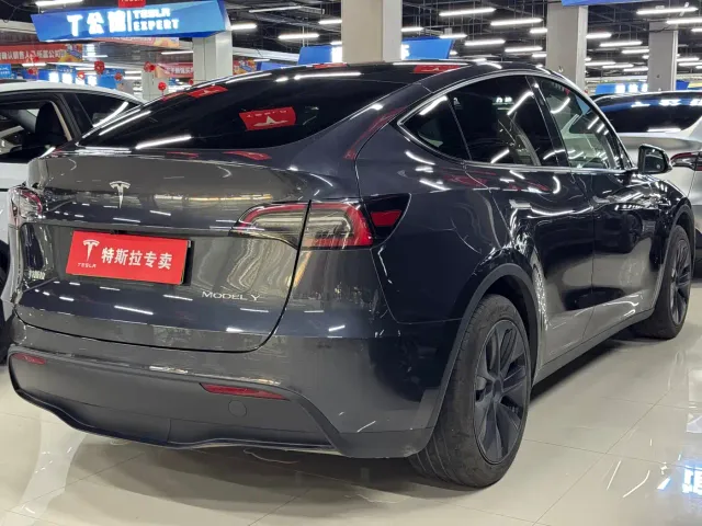 Tesla Model Y — Фото автомобиля 9