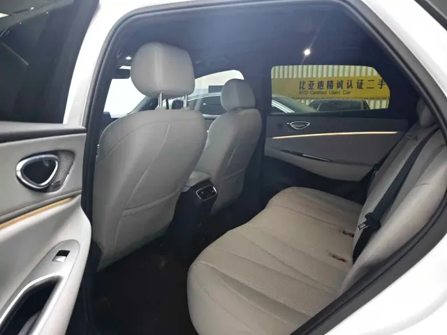 BYD Sealion 06 — Фото автомобиля 8