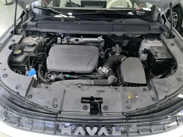 Haval Xiaolong MAX — Фото автомобиля 19