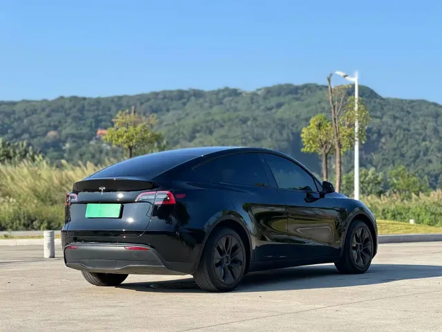 Tesla Model Y — Фото автомобиля 4