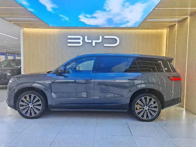 Denza N9 — Фото автомобиля 9