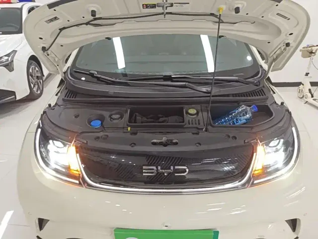 BYD Dolphin — Фото автомобиля 19