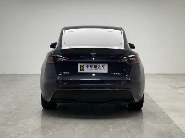 Tesla Model Y — Фото автомобиля 5