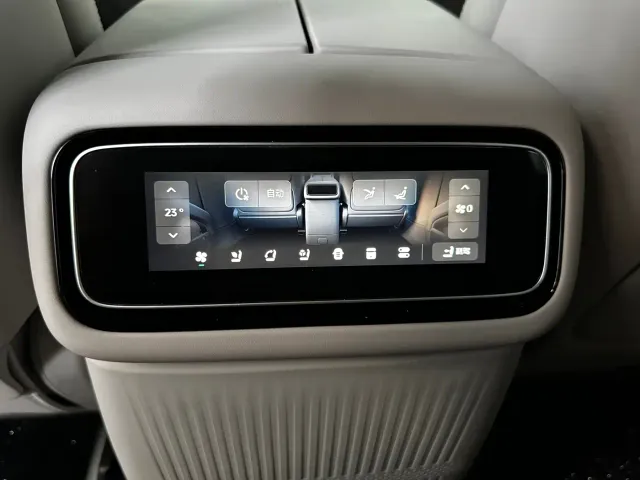 Leapmotor D Series — Фото автомобиля 11